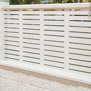 CELOSIA ALTEA  6X20X40 VERNI