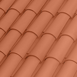 TEJA CURVA 50X21 ROJA BORJA