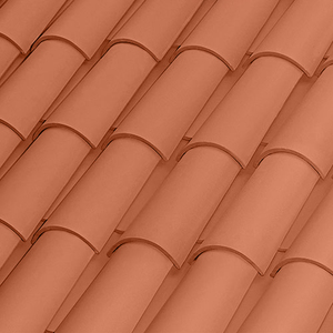 TEJA CURVA 50X21 ROJA BORJA