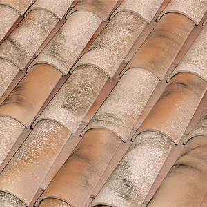 TEJA CURVA 50X21 LAMALOU BORJA