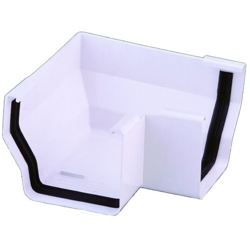 ANGULO EXTER CANAL EUME BLANCA