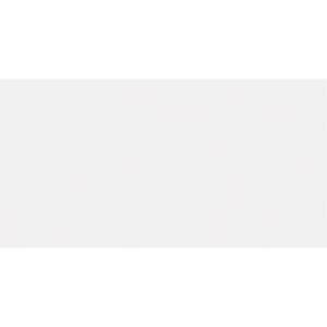 M2 REVESTIMIENT BCO MATE 60X30