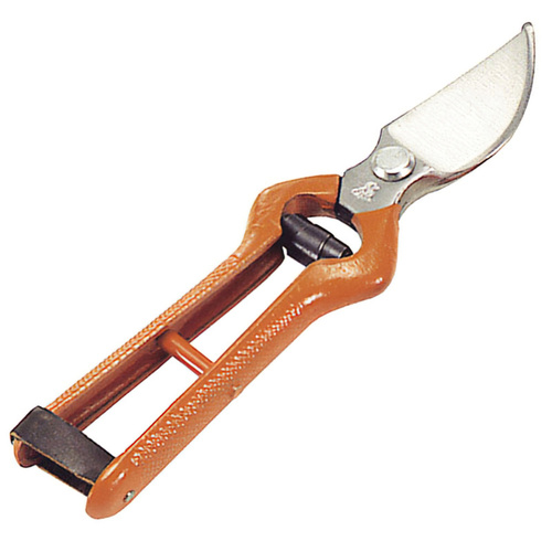 TIJERA PODAR 1 MANO FOR.CUR.21